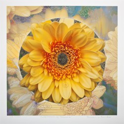 Fulfillment Of Dreams