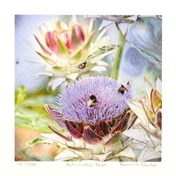 Artichoke Bees