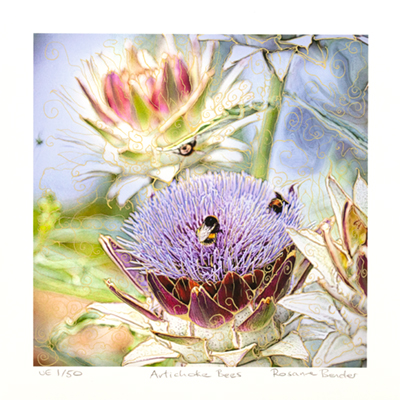 Artichoke Bees