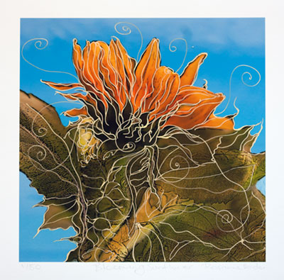 Blooming Sunflower